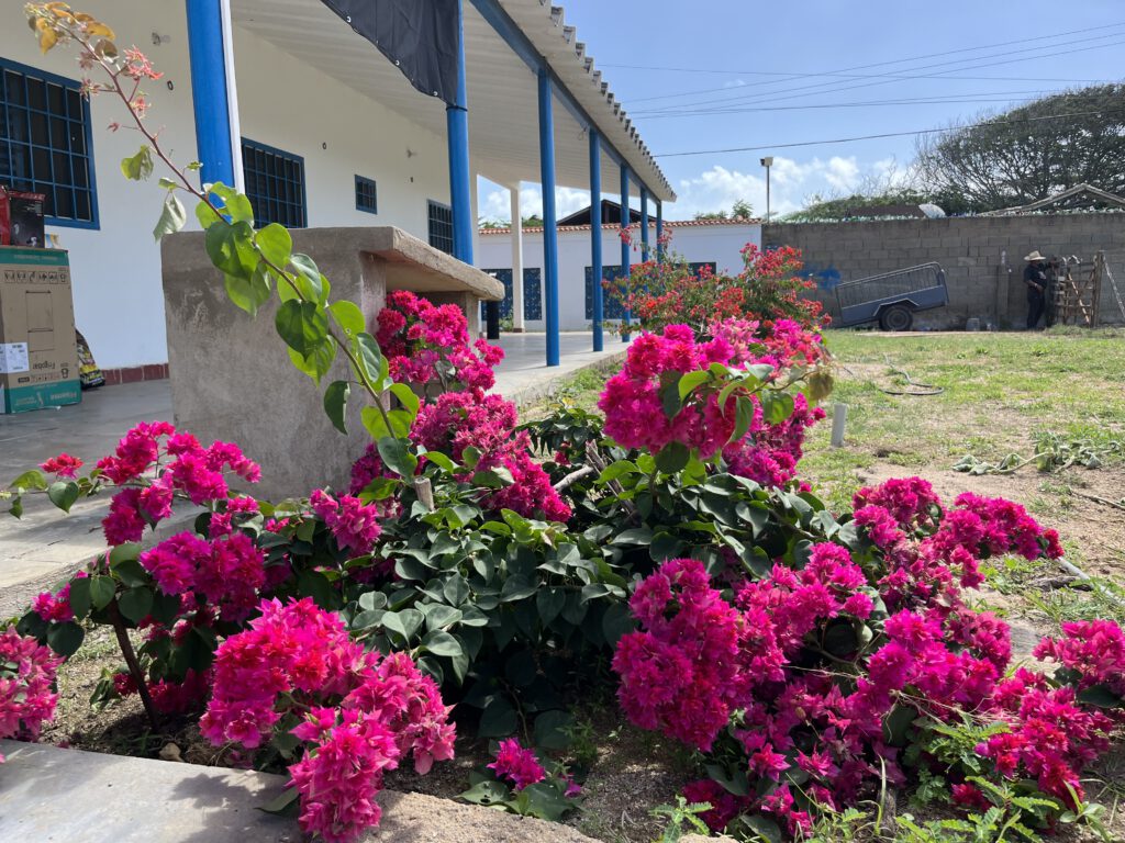 Flor