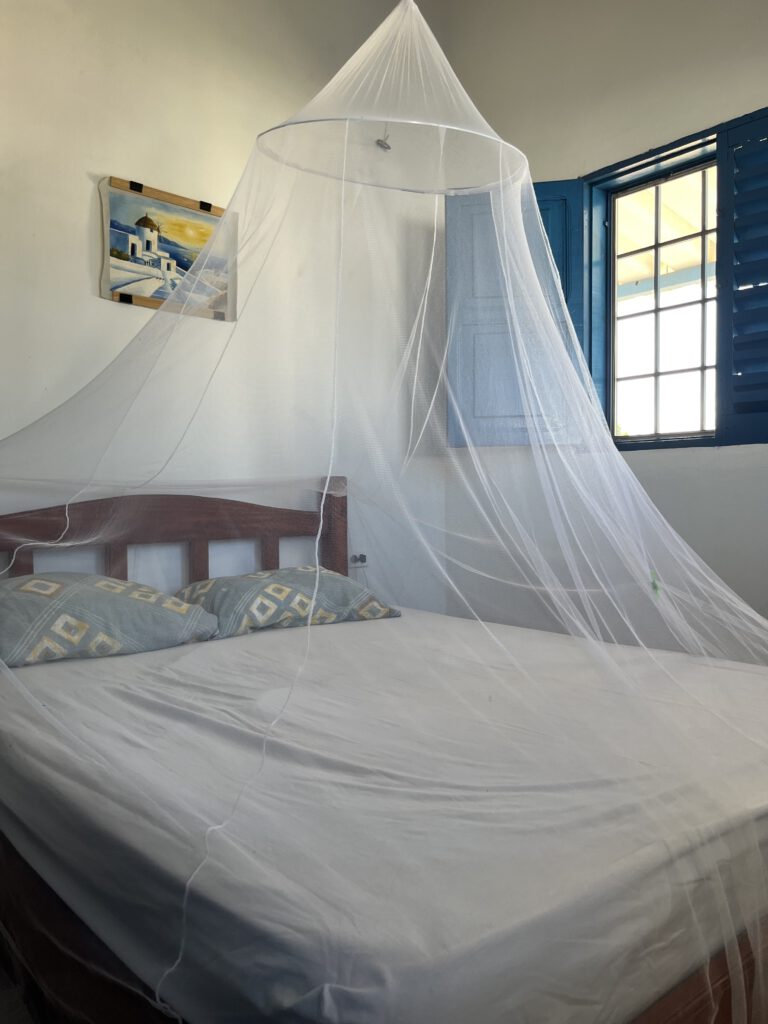 cama 2